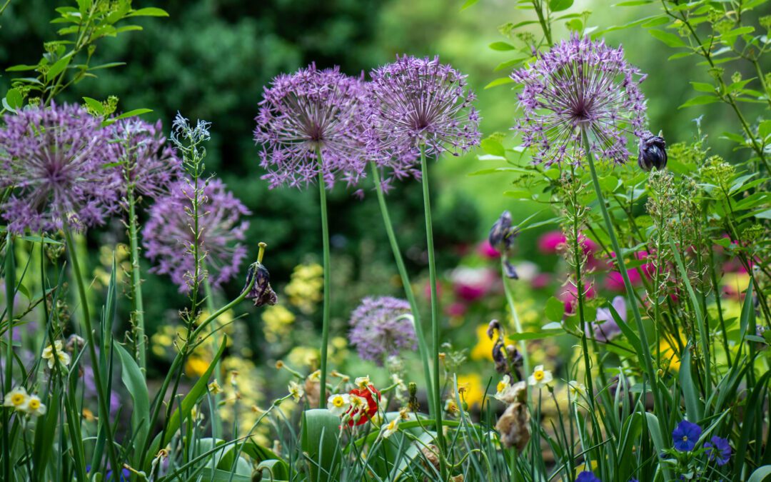 Landscaping in Western Kentucky: Creating a Garden Oasis