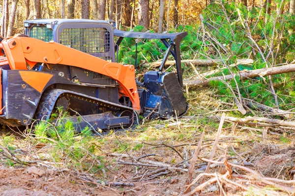 brush removal